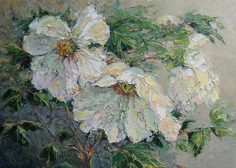 Paeonia suffruticosa var. papaveruticosa